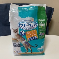 マナーウェア　猫　SSサイズ12枚