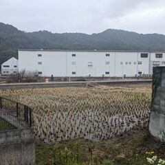 野菜づくりのサークルメンバー募集
