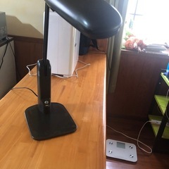 スタンドライト