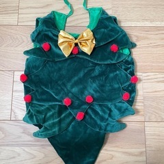 クリスマスコスチュームの画像