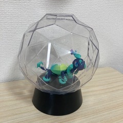 ポケモン　テラパゴス　ライト　一番くじの画像