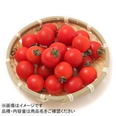 ミニトマト　苗　１個4０円　残り５個の画像