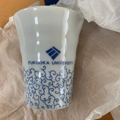 新品　ペアグラス　有田焼　福岡大学　コップ　フリーカップ
　の画像
