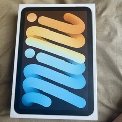 iPadmini6セルラーモデル箱のみ
