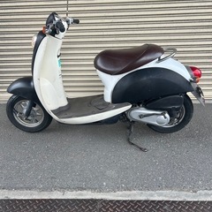 スクーピ！キャブオーバーホール済み！の画像