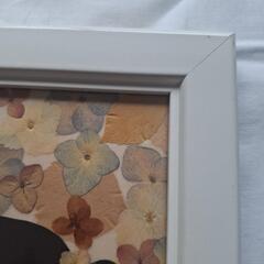 f押し花額絵　火曜日限定の画像