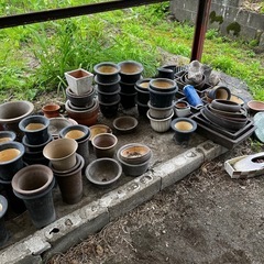 蘭鉢　10個で300円　何個からでもお売りします　鉢　花　ガーデニングの画像