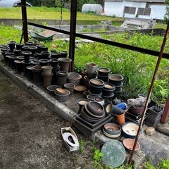 蘭鉢　10個で300円　何個からでもお売りします　鉢　花　ガーデニングの画像