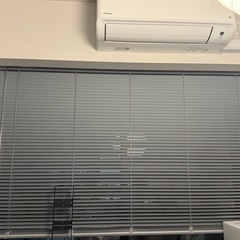 【本日限定 】ブラインド