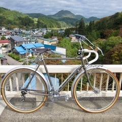 (引取り限定) TOEI ランドナー　サイス55の画像