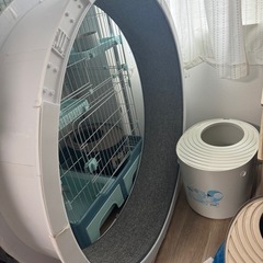 キャットホイール　猫　おもちゃ　回し車
