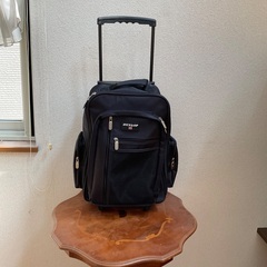 千鶴さんに決まりました。　リュックサック型キャリー差し上げます。