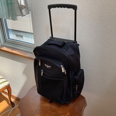 千鶴さんに決まりました。　リュックサック型キャリー差し上げます。の画像