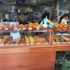 福岡市内をパンランしませんか？