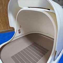受付再開　猫トイレ　デオシート用の画像