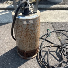 ホンフの画像