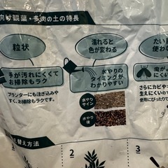 植物6の画像