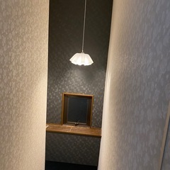照明