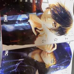 さよならミニスカート2冊中古