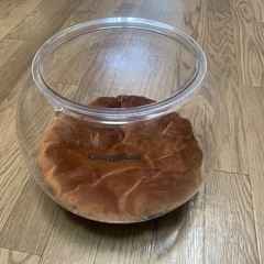 猫　金魚鉢　おもちゃ