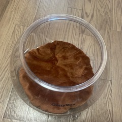 猫　金魚鉢　おもちゃの画像