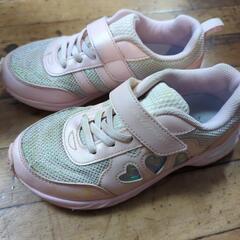 瞬足20cmの画像