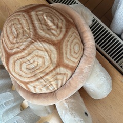 買って満足してしまったカメさん🐢