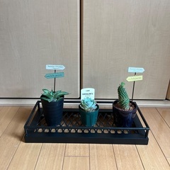 アイアン家具作製致しますの画像