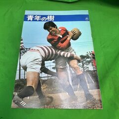 映画パンフレット　青年の樹/若い人」　出演 三浦友和/壇ふみ　桜...