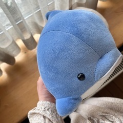 イルカちゃん🐬の画像