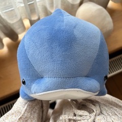 イルカちゃん🐬