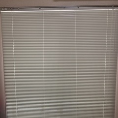 ブラインド（カーテンレールがあれば取り外し可能）