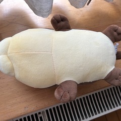 もちもちカワウソ🦦の画像