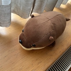 もちもちカワウソ🦦