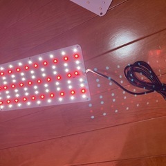 水耕栽培用照明の画像