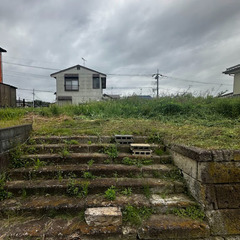 自然豊かな環境！　市原市石川大蔵屋団地内の土地を10円でお譲りい...
