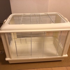 ハリネズミ　飼育セットの画像