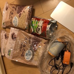 ハリネズミ　飼育セットの画像