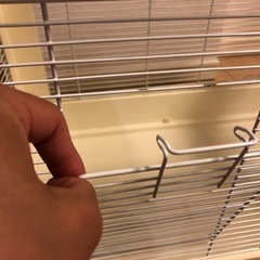 ハリネズミ　飼育セットの画像