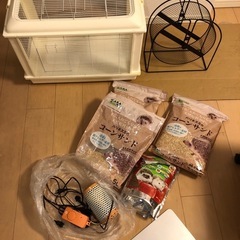 ハリネズミ　飼育セット