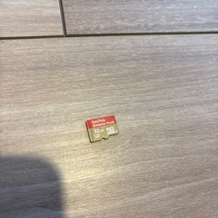お譲り先決まりましたの画像
