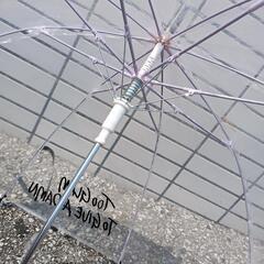 ANAP　傘の画像