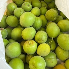 【取引終了】青梅1kg