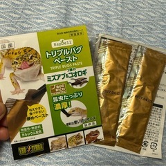 爬虫類のご飯