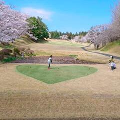 ⛳️ゴルフ女子友達募集