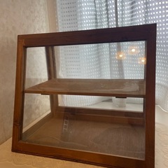 コレクションケース