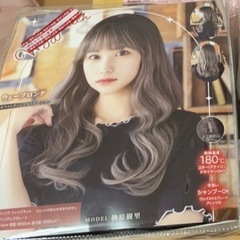 ウィッグ