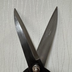 刈込み鋏　剪定の画像