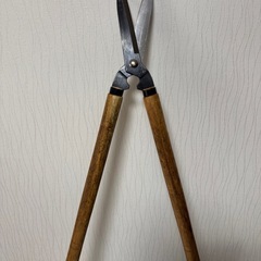 刈込み鋏　剪定の画像
