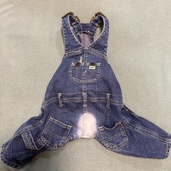 ペット　服